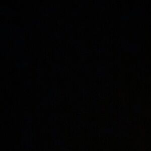 Meet your Posher, Freya